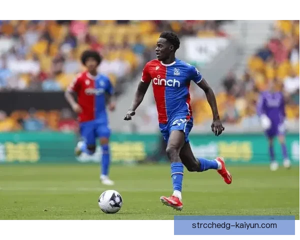 英超水晶宫保级战形势严峻，球队状态需提升以争取安全名额